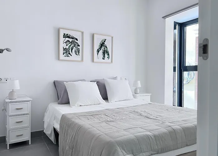 Apartamento Circo 6